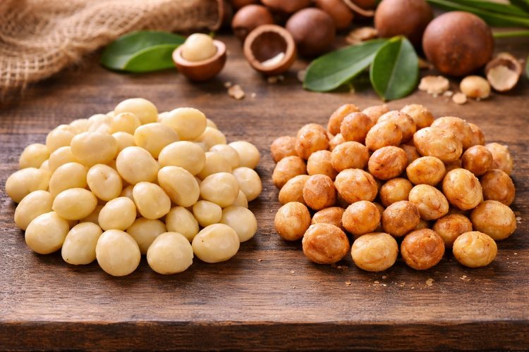 Illustrated placeholder for article titled Raw vs. Roasted Macadamias: Selecting the Right Format