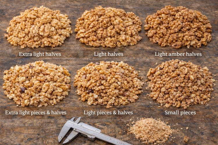 Illustrated placeholder for article titled California Walnut Grades, Color and Size: What Buyers Need to Know