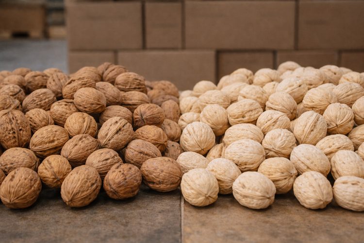 Illustrated placeholder for article titled Natural vs. Bleached In-Shell Walnuts